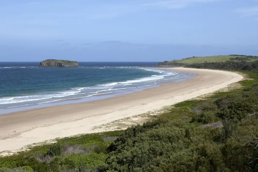 Plant maintenance in Shellharbour