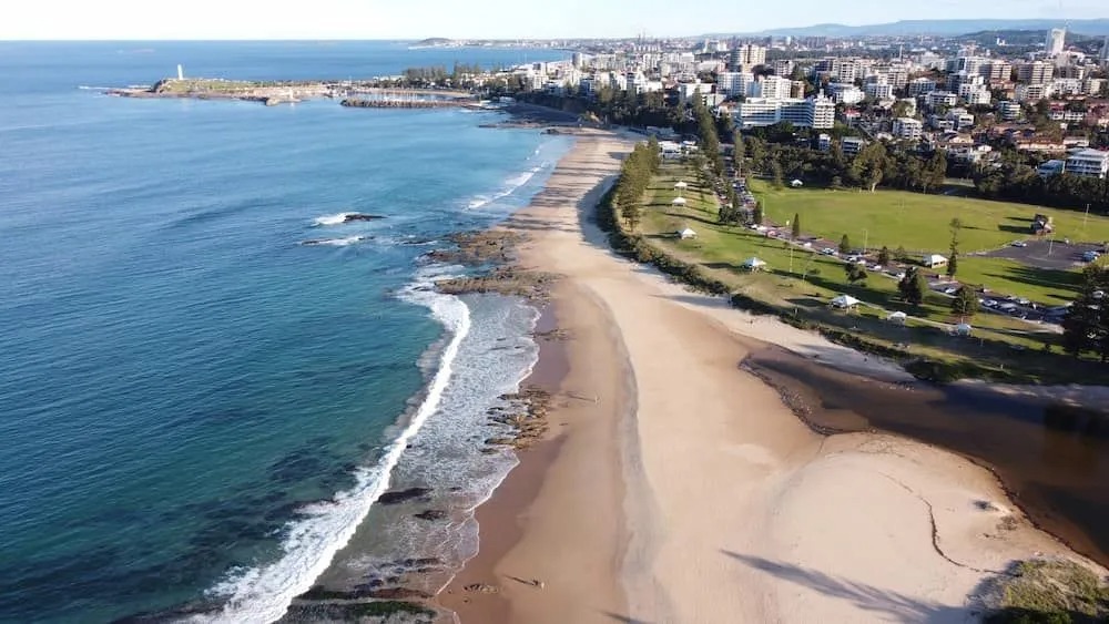 Plant maintenance in Wollongong